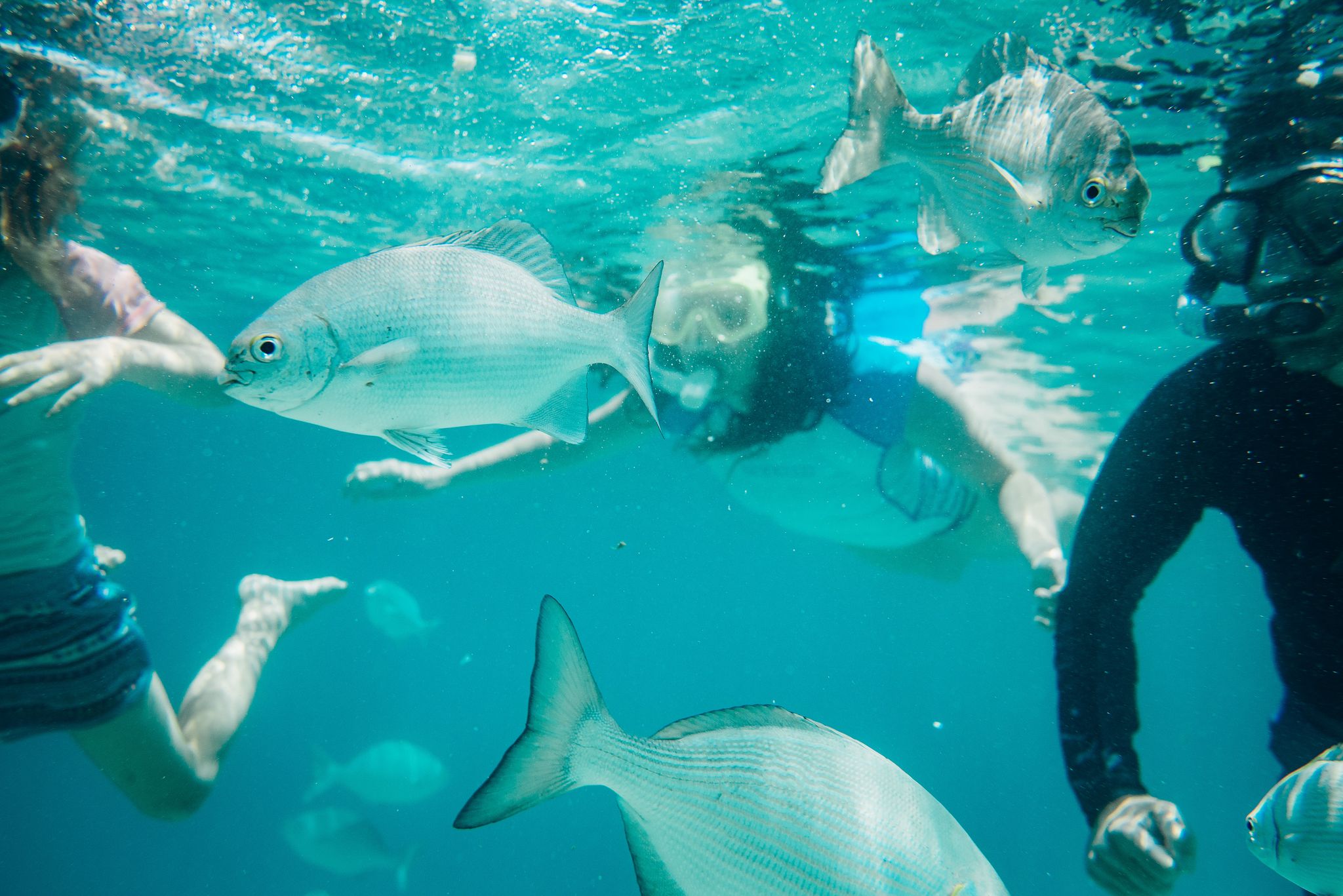 Santo Vanuatu Must See Natural Wonders Aore Island Resor