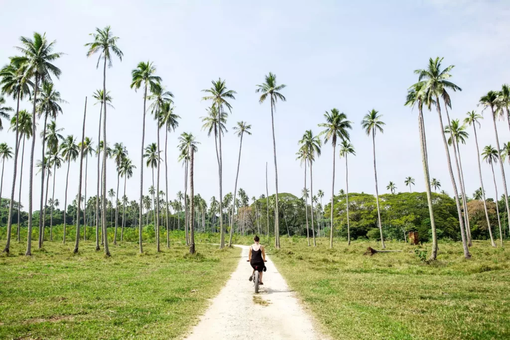 Aore Island was home to a coconut plantation in 1880