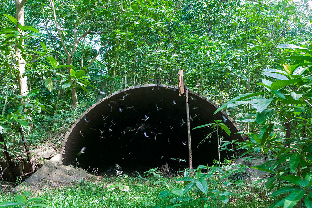 Bunkers on Aore Island